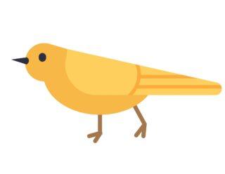 canary deployment
